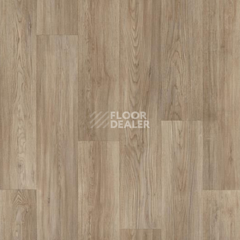 Линолеум Forbo Sarlon Wood 19dB 8514T4319 pure chill oak фото 1 | FLOORDEALER